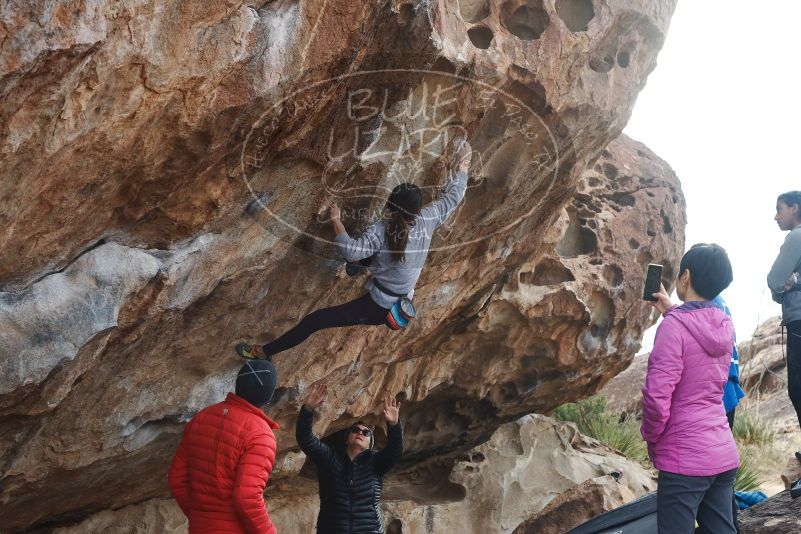 Bouldering in Hueco Tanks on 11/24/2019 with Blue Lizard Climbing and Yoga

Filename: SRM_20191124_1038460.jpg
Aperture: f/7.1
Shutter Speed: 1/250
Body: Canon EOS-1D Mark II
Lens: Canon EF 50mm f/1.8 II