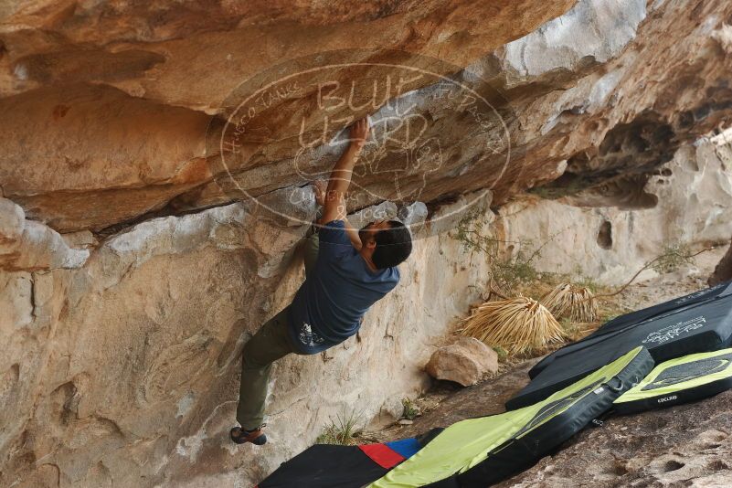 Bouldering in Hueco Tanks on 11/24/2019 with Blue Lizard Climbing and Yoga
Filename: SRM_20191124_1054350.jpg
Aperture: f/5.0
Shutter Speed: 1/320
Body: Canon EOS-1D Mark II
Lens: Canon EF 50mm f/1.8 II