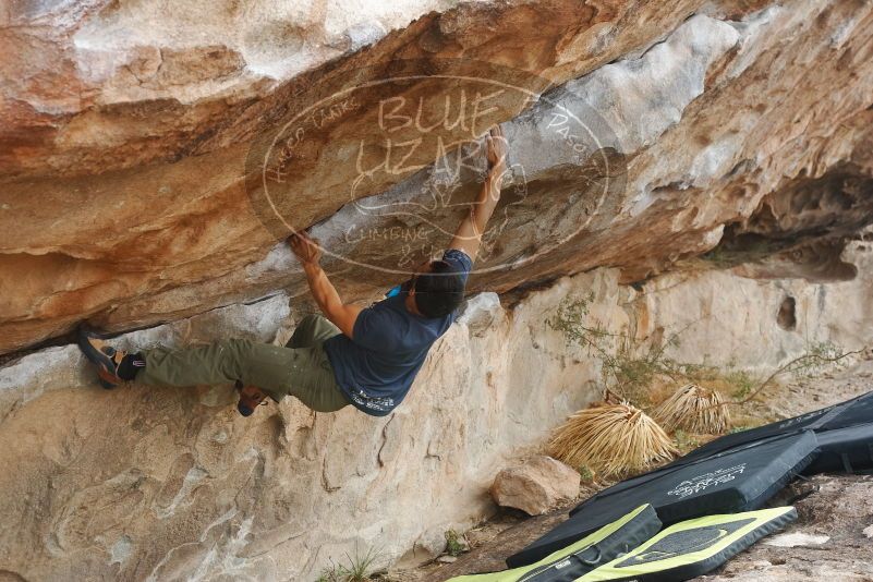Bouldering in Hueco Tanks on 11/24/2019 with Blue Lizard Climbing and Yoga
Filename: SRM_20191124_1054390.jpg
Aperture: f/5.0
Shutter Speed: 1/320
Body: Canon EOS-1D Mark II
Lens: Canon EF 50mm f/1.8 II
