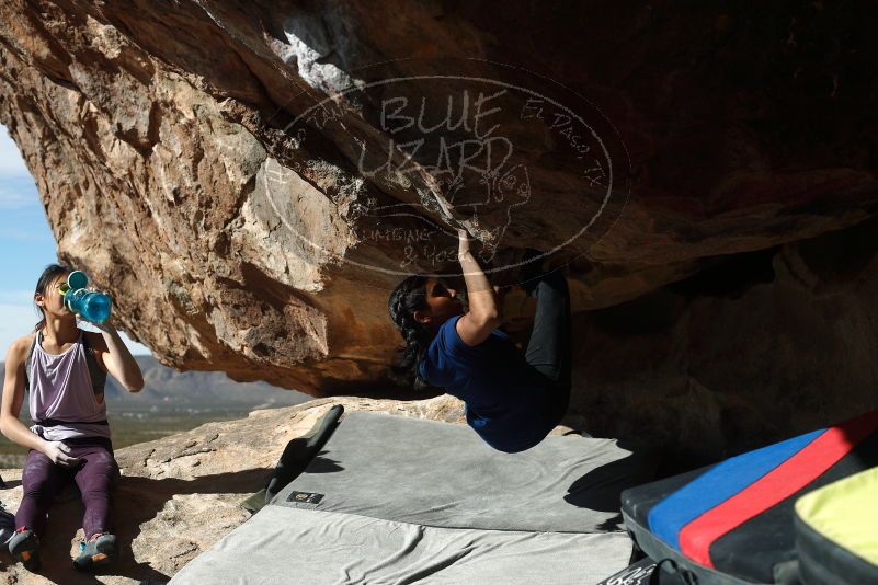 Bouldering in Hueco Tanks on 11/24/2019 with Blue Lizard Climbing and Yoga

Filename: SRM_20191124_1205240.jpg
Aperture: f/4.5
Shutter Speed: 1/500
Body: Canon EOS-1D Mark II
Lens: Canon EF 50mm f/1.8 II