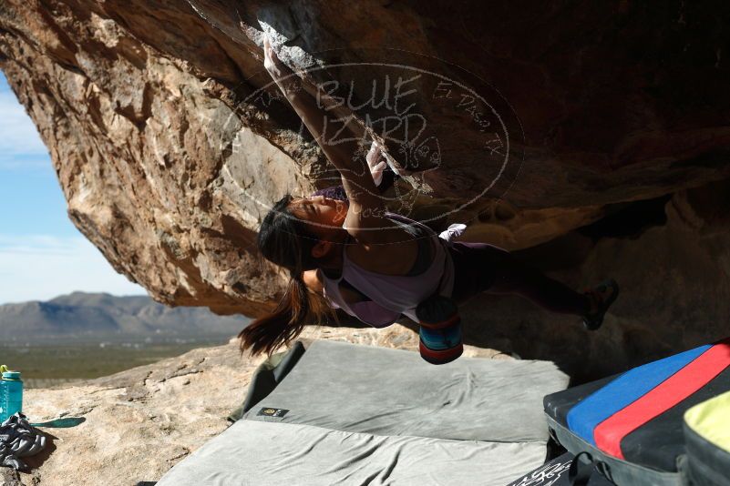 Bouldering in Hueco Tanks on 11/24/2019 with Blue Lizard Climbing and Yoga

Filename: SRM_20191124_1209420.jpg
Aperture: f/4.5
Shutter Speed: 1/500
Body: Canon EOS-1D Mark II
Lens: Canon EF 50mm f/1.8 II