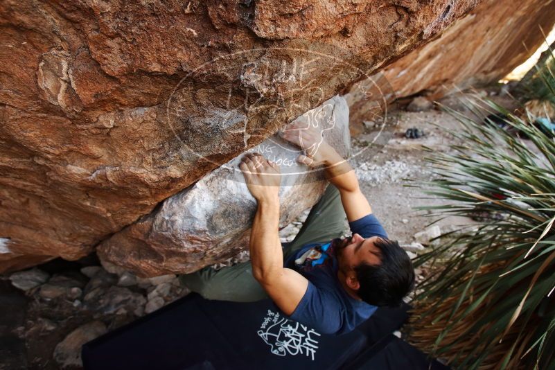 Bouldering in Hueco Tanks on 11/24/2019 with Blue Lizard Climbing and Yoga
Filename: SRM_20191124_1334580.jpg
Aperture: f/4.5
Shutter Speed: 1/250
Body: Canon EOS-1D Mark II
Lens: Canon EF 16-35mm f/2.8 L