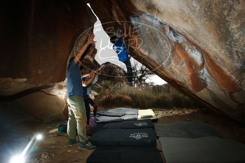Bouldering in Hueco Tanks on 11/24/2019 with Blue Lizard Climbing and Yoga

Filename: SRM_20191124_1436560.jpg
Aperture: f/8.0
Shutter Speed: 1/250
Body: Canon EOS-1D Mark II
Lens: Canon EF 16-35mm f/2.8 L