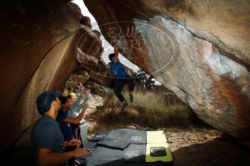 Bouldering in Hueco Tanks on 11/24/2019 with Blue Lizard Climbing and Yoga
Filename: SRM_20191124_1437020.jpg
Aperture: f/8.0
Shutter Speed: 1/250
Body: Canon EOS-1D Mark II
Lens: Canon EF 16-35mm f/2.8 L