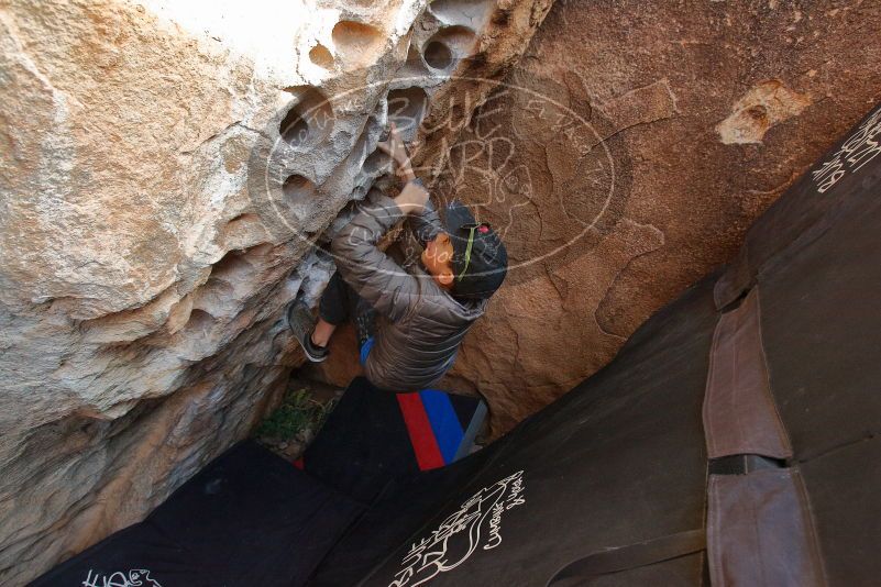 Bouldering in Hueco Tanks on 11/24/2019 with Blue Lizard Climbing and Yoga

Filename: SRM_20191124_1630130.jpg
Aperture: f/5.0
Shutter Speed: 1/250
Body: Canon EOS-1D Mark II
Lens: Canon EF 16-35mm f/2.8 L