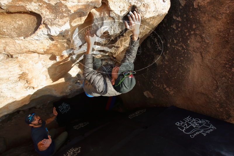 Bouldering in Hueco Tanks on 11/24/2019 with Blue Lizard Climbing and Yoga

Filename: SRM_20191124_1630440.jpg
Aperture: f/5.0
Shutter Speed: 1/250
Body: Canon EOS-1D Mark II
Lens: Canon EF 16-35mm f/2.8 L