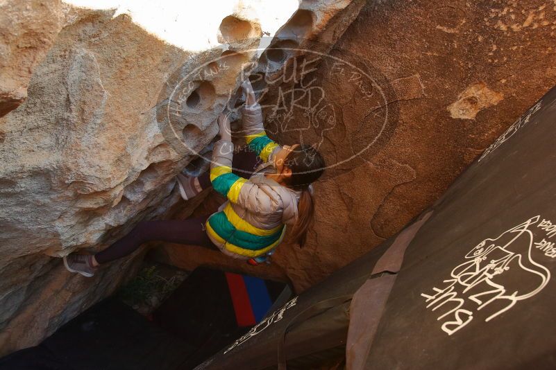 Bouldering in Hueco Tanks on 11/24/2019 with Blue Lizard Climbing and Yoga

Filename: SRM_20191124_1639220.jpg
Aperture: f/5.6
Shutter Speed: 1/250
Body: Canon EOS-1D Mark II
Lens: Canon EF 16-35mm f/2.8 L