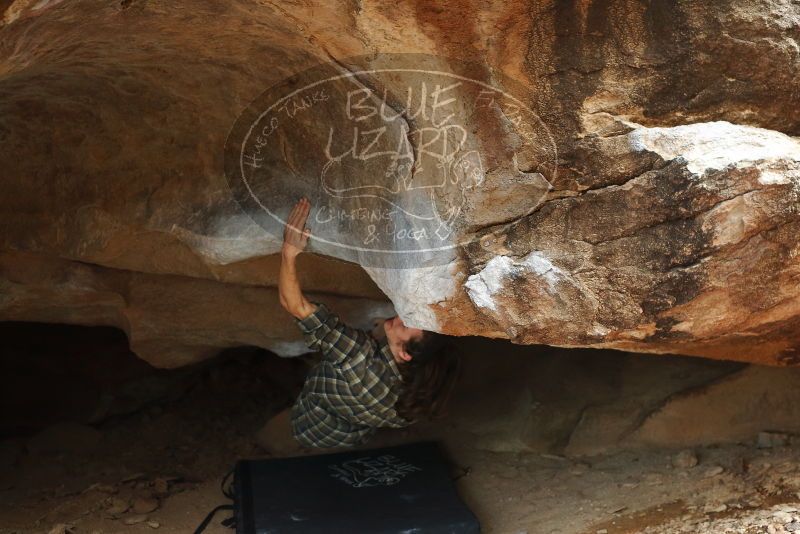 Bouldering in Hueco Tanks on 11/25/2019 with Blue Lizard Climbing and Yoga

Filename: SRM_20191125_1443530.jpg
Aperture: f/2.8
Shutter Speed: 1/250
Body: Canon EOS-1D Mark II
Lens: Canon EF 50mm f/1.8 II