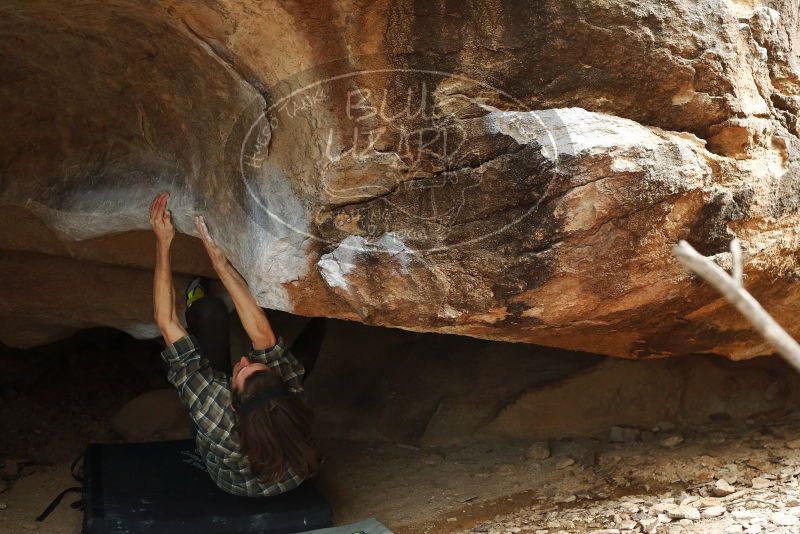 Bouldering in Hueco Tanks on 11/25/2019 with Blue Lizard Climbing and Yoga
Filename: SRM_20191125_1446191.jpg
Aperture: f/3.5
Shutter Speed: 1/250
Body: Canon EOS-1D Mark II
Lens: Canon EF 50mm f/1.8 II