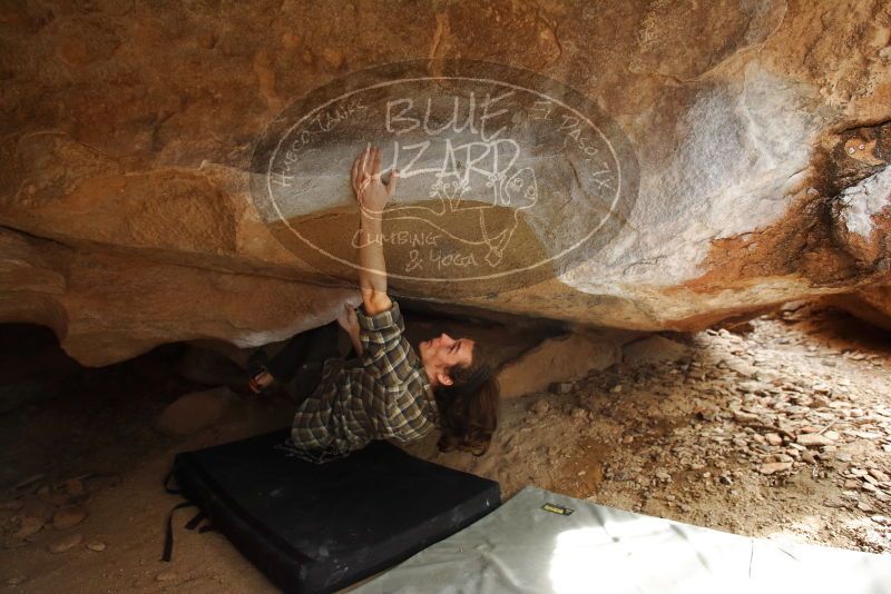 Bouldering in Hueco Tanks on 11/25/2019 with Blue Lizard Climbing and Yoga

Filename: SRM_20191125_1502440.jpg
Aperture: f/4.0
Shutter Speed: 1/250
Body: Canon EOS-1D Mark II
Lens: Canon EF 16-35mm f/2.8 L