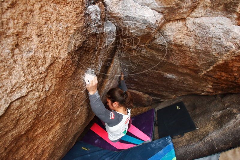 Bouldering in Hueco Tanks on 11/25/2019 with Blue Lizard Climbing and Yoga
Filename: SRM_20191125_1151340.jpg
Aperture: f/5.0
Shutter Speed: 1/250
Body: Canon EOS-1D Mark II
Lens: Canon EF 16-35mm f/2.8 L