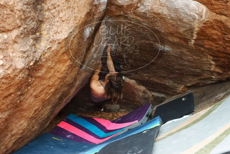 Bouldering in Hueco Tanks on 11/25/2019 with Blue Lizard Climbing and Yoga

Filename: SRM_20191125_1207530.jpg
Aperture: f/3.5
Shutter Speed: 1/250
Body: Canon EOS-1D Mark II
Lens: Canon EF 50mm f/1.8 II