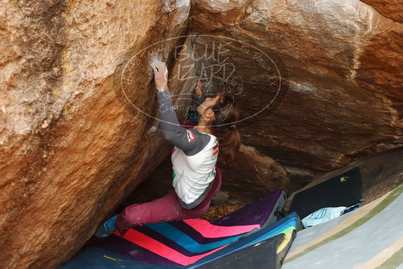 Bouldering in Hueco Tanks on 11/25/2019 with Blue Lizard Climbing and Yoga
Filename: SRM_20191125_1216140.jpg
Aperture: f/4.5
Shutter Speed: 1/250
Body: Canon EOS-1D Mark II
Lens: Canon EF 50mm f/1.8 II