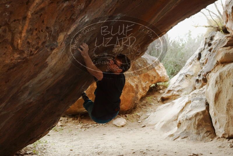 Bouldering in Hueco Tanks on 11/25/2019 with Blue Lizard Climbing and Yoga
Filename: SRM_20191125_1221040.jpg
Aperture: f/5.0
Shutter Speed: 1/250
Body: Canon EOS-1D Mark II
Lens: Canon EF 50mm f/1.8 II