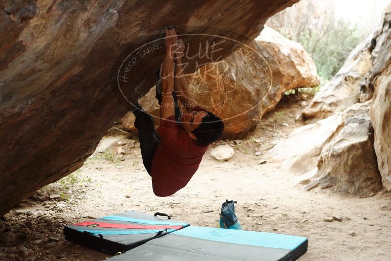 Bouldering in Hueco Tanks on 11/25/2019 with Blue Lizard Climbing and Yoga
Filename: SRM_20191125_1226460.jpg
Aperture: f/4.0
Shutter Speed: 1/250
Body: Canon EOS-1D Mark II
Lens: Canon EF 50mm f/1.8 II