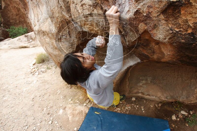 Bouldering in Hueco Tanks on 11/25/2019 with Blue Lizard Climbing and Yoga
Filename: SRM_20191125_1229500.jpg
Aperture: f/7.1
Shutter Speed: 1/250
Body: Canon EOS-1D Mark II
Lens: Canon EF 16-35mm f/2.8 L