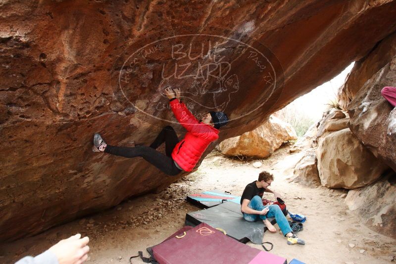 Bouldering in Hueco Tanks on 11/25/2019 with Blue Lizard Climbing and Yoga
Filename: SRM_20191125_1251530.jpg
Aperture: f/4.5
Shutter Speed: 1/250
Body: Canon EOS-1D Mark II
Lens: Canon EF 16-35mm f/2.8 L