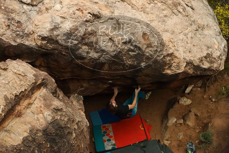 Bouldering in Hueco Tanks on 11/25/2019 with Blue Lizard Climbing and Yoga
Filename: SRM_20191125_1359470.jpg
Aperture: f/5.6
Shutter Speed: 1/500
Body: Canon EOS-1D Mark II
Lens: Canon EF 50mm f/1.8 II
