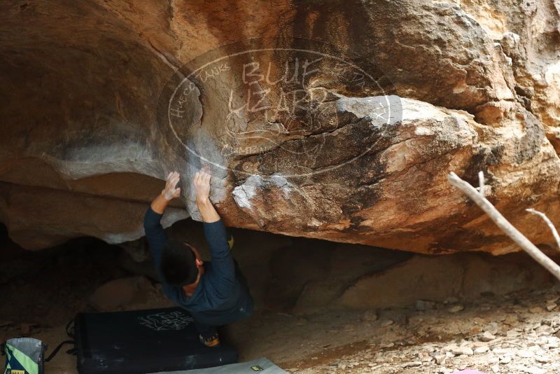 Bouldering in Hueco Tanks on 11/25/2019 with Blue Lizard Climbing and Yoga

Filename: SRM_20191125_1445270.jpg
Aperture: f/3.2
Shutter Speed: 1/250
Body: Canon EOS-1D Mark II
Lens: Canon EF 50mm f/1.8 II