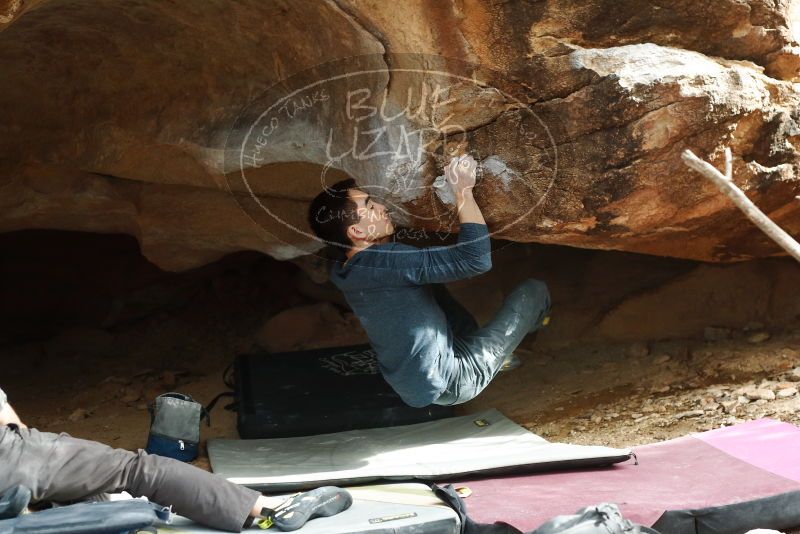 Bouldering in Hueco Tanks on 11/25/2019 with Blue Lizard Climbing and Yoga
Filename: SRM_20191125_1448190.jpg
Aperture: f/4.0
Shutter Speed: 1/250
Body: Canon EOS-1D Mark II
Lens: Canon EF 50mm f/1.8 II