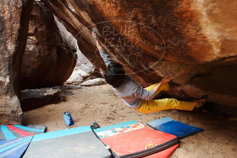 Bouldering in Hueco Tanks on 11/25/2019 with Blue Lizard Climbing and Yoga
Filename: SRM_20191125_1451180.jpg
Aperture: f/4.5
Shutter Speed: 1/250
Body: Canon EOS-1D Mark II
Lens: Canon EF 16-35mm f/2.8 L