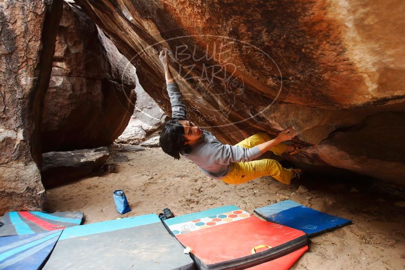Bouldering in Hueco Tanks on 11/25/2019 with Blue Lizard Climbing and Yoga
Filename: SRM_20191125_1451210.jpg
Aperture: f/4.5
Shutter Speed: 1/250
Body: Canon EOS-1D Mark II
Lens: Canon EF 16-35mm f/2.8 L