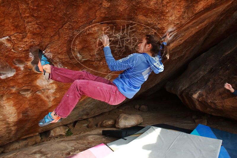 Bouldering in Hueco Tanks on 11/25/2019 with Blue Lizard Climbing and Yoga

Filename: SRM_20191125_1509150.jpg
Aperture: f/7.1
Shutter Speed: 1/250
Body: Canon EOS-1D Mark II
Lens: Canon EF 16-35mm f/2.8 L