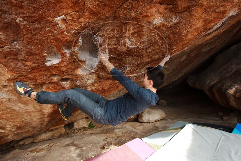 Bouldering in Hueco Tanks on 11/25/2019 with Blue Lizard Climbing and Yoga
Filename: SRM_20191125_1511350.jpg
Aperture: f/6.3
Shutter Speed: 1/250
Body: Canon EOS-1D Mark II
Lens: Canon EF 16-35mm f/2.8 L