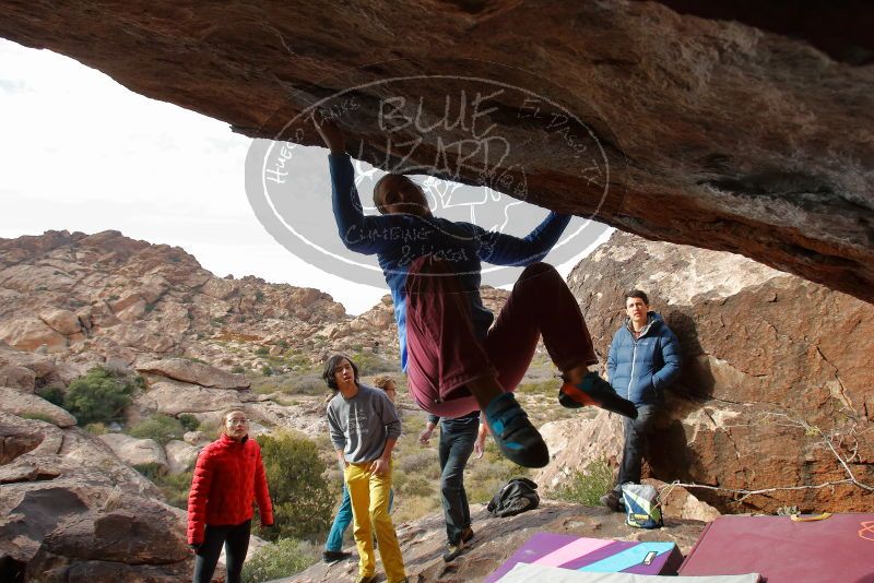 Bouldering in Hueco Tanks on 11/25/2019 with Blue Lizard Climbing and Yoga
Filename: SRM_20191125_1513310.jpg
Aperture: f/7.1
Shutter Speed: 1/250
Body: Canon EOS-1D Mark II
Lens: Canon EF 16-35mm f/2.8 L