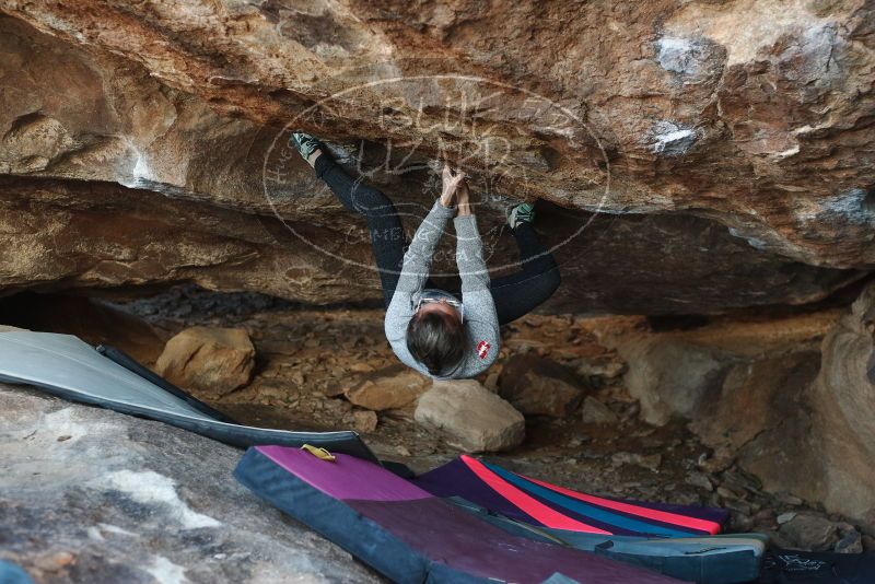 Bouldering in Hueco Tanks on 11/25/2019 with Blue Lizard Climbing and Yoga

Filename: SRM_20191125_1619350.jpg
Aperture: f/3.2
Shutter Speed: 1/320
Body: Canon EOS-1D Mark II
Lens: Canon EF 50mm f/1.8 II