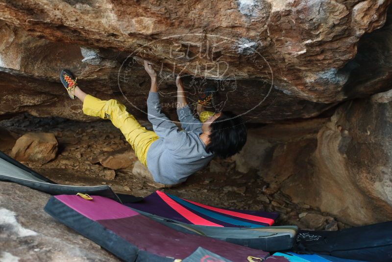 Bouldering in Hueco Tanks on 11/25/2019 with Blue Lizard Climbing and Yoga
Filename: SRM_20191125_1623230.jpg
Aperture: f/3.2
Shutter Speed: 1/320
Body: Canon EOS-1D Mark II
Lens: Canon EF 50mm f/1.8 II