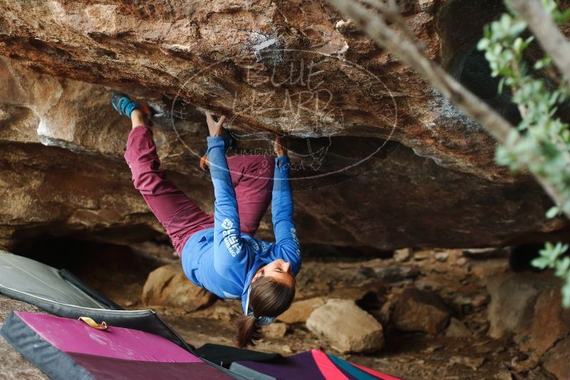 Bouldering in Hueco Tanks on 11/25/2019 with Blue Lizard Climbing and Yoga

Filename: SRM_20191125_1640240.jpg
Aperture: f/2.8
Shutter Speed: 1/320
Body: Canon EOS-1D Mark II
Lens: Canon EF 50mm f/1.8 II