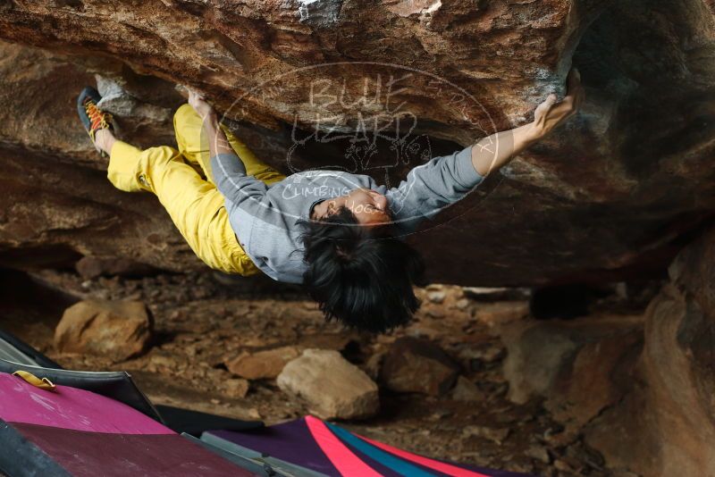 Bouldering in Hueco Tanks on 11/25/2019 with Blue Lizard Climbing and Yoga

Filename: SRM_20191125_1644300.jpg
Aperture: f/3.5
Shutter Speed: 1/250
Body: Canon EOS-1D Mark II
Lens: Canon EF 50mm f/1.8 II