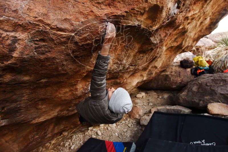 Bouldering in Hueco Tanks on 11/26/2019 with Blue Lizard Climbing and Yoga

Filename: SRM_20191126_1042401.jpg
Aperture: f/4.0
Shutter Speed: 1/250
Body: Canon EOS-1D Mark II
Lens: Canon EF 16-35mm f/2.8 L
