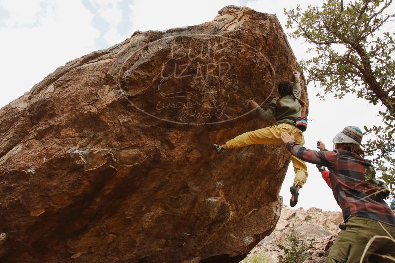 Bouldering in Hueco Tanks on 11/26/2019 with Blue Lizard Climbing and Yoga
Filename: SRM_20191126_1132071.jpg
Aperture: f/8.0
Shutter Speed: 1/250
Body: Canon EOS-1D Mark II
Lens: Canon EF 16-35mm f/2.8 L
