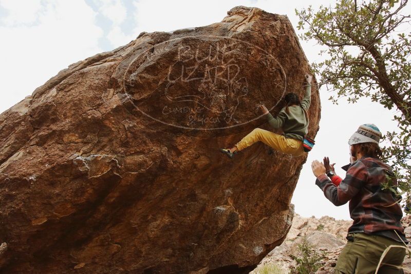 Bouldering in Hueco Tanks on 11/26/2019 with Blue Lizard Climbing and Yoga
Filename: SRM_20191126_1132080.jpg
Aperture: f/8.0
Shutter Speed: 1/250
Body: Canon EOS-1D Mark II
Lens: Canon EF 16-35mm f/2.8 L