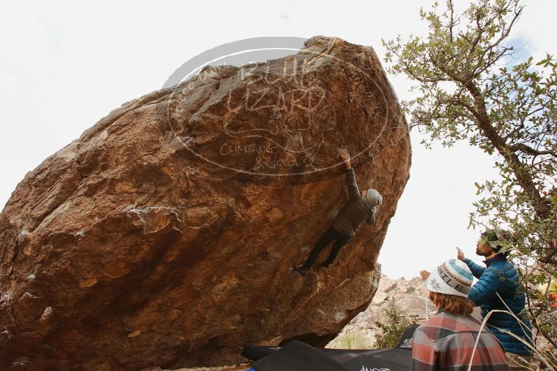 Bouldering in Hueco Tanks on 11/26/2019 with Blue Lizard Climbing and Yoga

Filename: SRM_20191126_1145100.jpg
Aperture: f/8.0
Shutter Speed: 1/250
Body: Canon EOS-1D Mark II
Lens: Canon EF 16-35mm f/2.8 L
