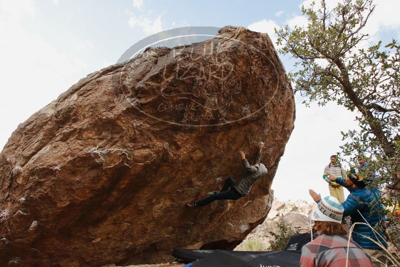 Bouldering in Hueco Tanks on 11/26/2019 with Blue Lizard Climbing and Yoga
Filename: SRM_20191126_1154150.jpg
Aperture: f/8.0
Shutter Speed: 1/250
Body: Canon EOS-1D Mark II
Lens: Canon EF 16-35mm f/2.8 L