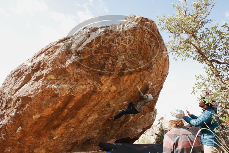 Bouldering in Hueco Tanks on 11/26/2019 with Blue Lizard Climbing and Yoga

Filename: SRM_20191126_1158440.jpg
Aperture: f/8.0
Shutter Speed: 1/250
Body: Canon EOS-1D Mark II
Lens: Canon EF 16-35mm f/2.8 L