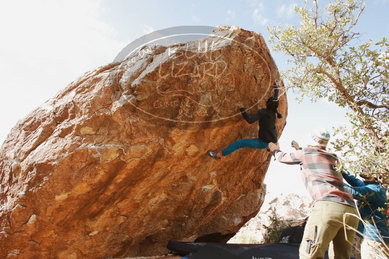 Bouldering in Hueco Tanks on 11/26/2019 with Blue Lizard Climbing and Yoga

Filename: SRM_20191126_1200170.jpg
Aperture: f/8.0
Shutter Speed: 1/250
Body: Canon EOS-1D Mark II
Lens: Canon EF 16-35mm f/2.8 L