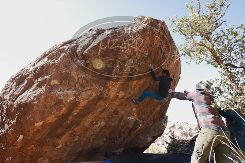 Bouldering in Hueco Tanks on 11/26/2019 with Blue Lizard Climbing and Yoga

Filename: SRM_20191126_1241370.jpg
Aperture: f/8.0
Shutter Speed: 1/250
Body: Canon EOS-1D Mark II
Lens: Canon EF 16-35mm f/2.8 L