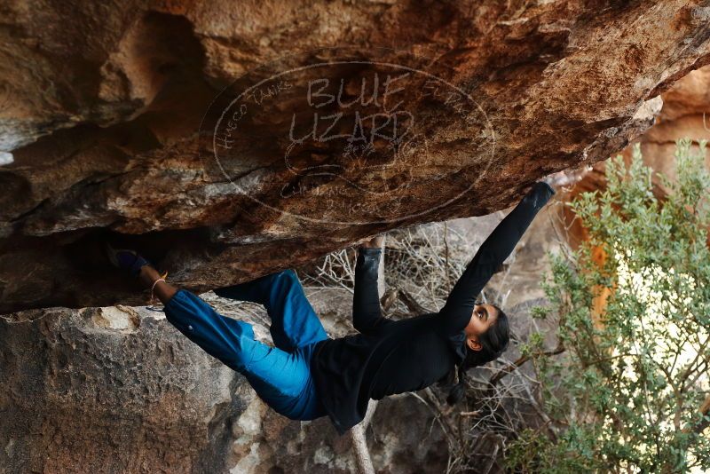 Bouldering in Hueco Tanks on 11/26/2019 with Blue Lizard Climbing and Yoga
Filename: SRM_20191126_1616330.jpg
Aperture: f/4.0
Shutter Speed: 1/250
Body: Canon EOS-1D Mark II
Lens: Canon EF 50mm f/1.8 II