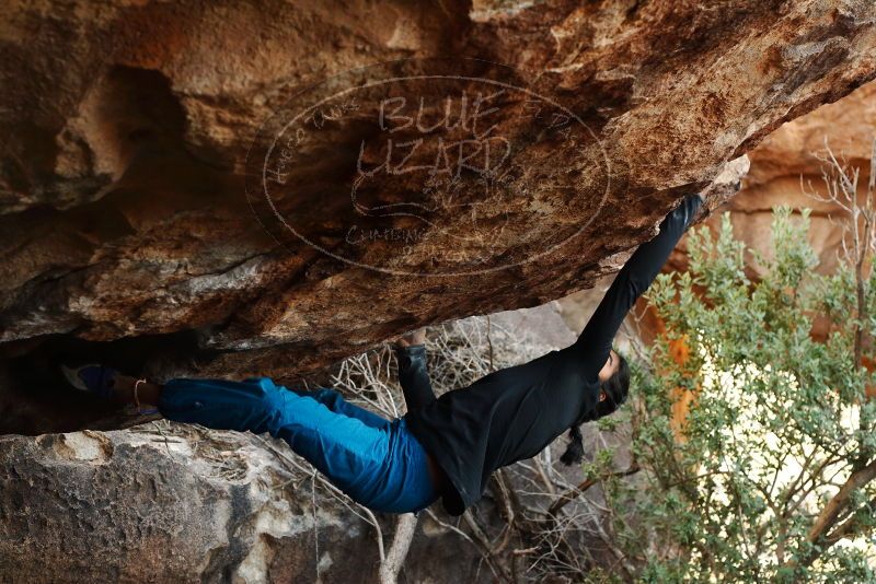 Bouldering in Hueco Tanks on 11/26/2019 with Blue Lizard Climbing and Yoga
Filename: SRM_20191126_1616360.jpg
Aperture: f/4.0
Shutter Speed: 1/250
Body: Canon EOS-1D Mark II
Lens: Canon EF 50mm f/1.8 II