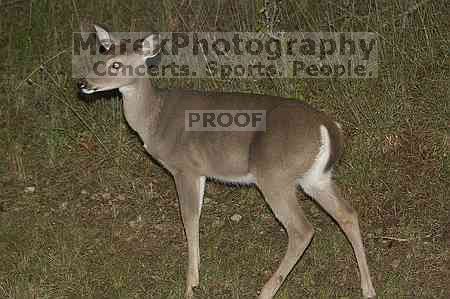 1020409145

Filename: SRM_20051010_235854_0.jpg
Aperture: f/4.0
Shutter Speed: 1/200
Body: Canon EOS 20D
Lens: Canon EF 80-200mm f/2.8 L