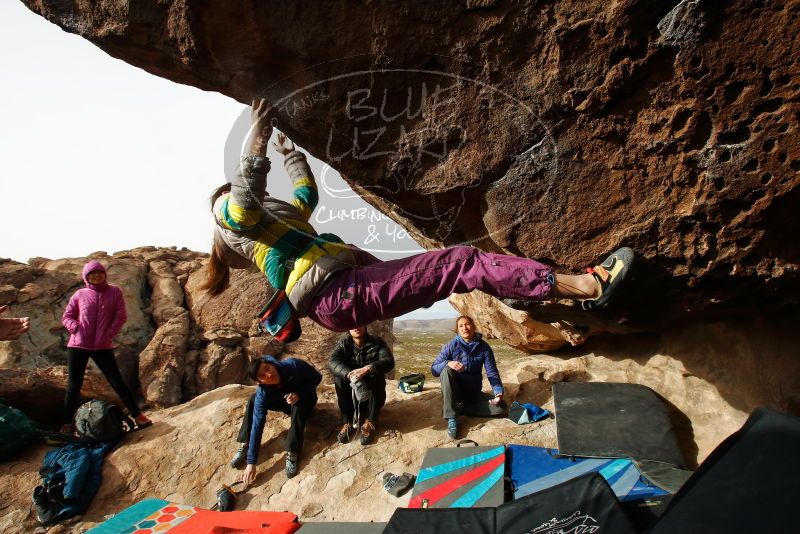 

Filename: SRM_20191127_1008120.jpg
Aperture: f/8.0
Shutter Speed: 1/250
Body: Canon EOS-1D Mark II
Lens: Canon EF 16-35mm f/2.8 L