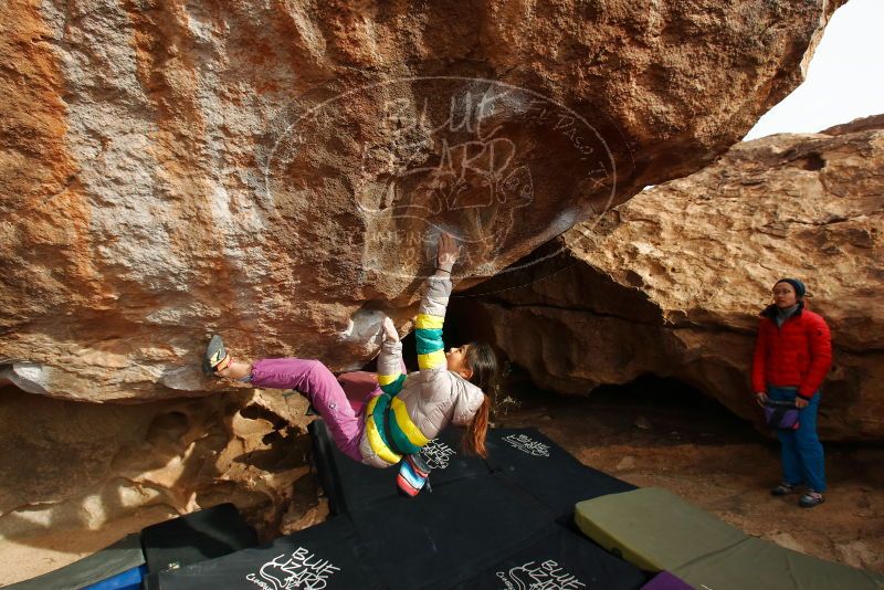 

Filename: SRM_20191127_1011181.jpg
Aperture: f/7.1
Shutter Speed: 1/250
Body: Canon EOS-1D Mark II
Lens: Canon EF 16-35mm f/2.8 L