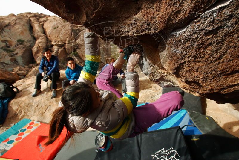 

Filename: SRM_20191127_1013040.jpg
Aperture: f/7.1
Shutter Speed: 1/250
Body: Canon EOS-1D Mark II
Lens: Canon EF 16-35mm f/2.8 L