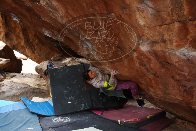 

Filename: SRM_20191127_1239330.jpg
Aperture: f/4.0
Shutter Speed: 1/250
Body: Canon EOS-1D Mark II
Lens: Canon EF 16-35mm f/2.8 L