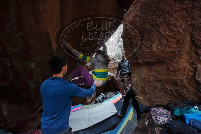 

Filename: SRM_20191127_1246120.jpg
Aperture: f/5.0
Shutter Speed: 1/250
Body: Canon EOS-1D Mark II
Lens: Canon EF 16-35mm f/2.8 L