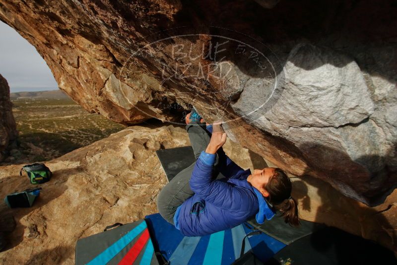 Bouldering in Hueco Tanks on 11/27/2019 with Blue Lizard Climbing and Yoga

Filename: SRM_20191127_1010570.jpg
Aperture: f/11.0
Shutter Speed: 1/250
Body: Canon EOS-1D Mark II
Lens: Canon EF 16-35mm f/2.8 L